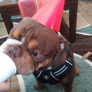 Meet your Posher, Deb